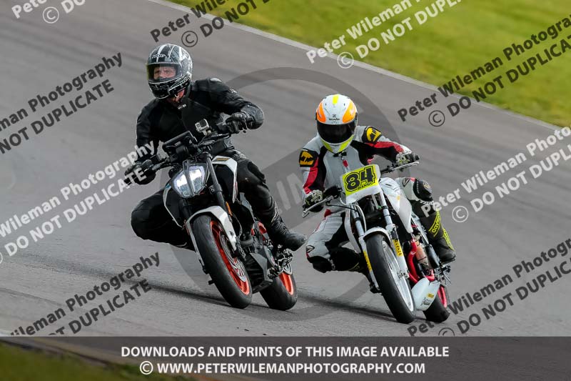 PJ Motorsport 2019;anglesey no limits trackday;anglesey photographs;anglesey trackday photographs;enduro digital images;event digital images;eventdigitalimages;no limits trackdays;peter wileman photography;racing digital images;trac mon;trackday digital images;trackday photos;ty croes